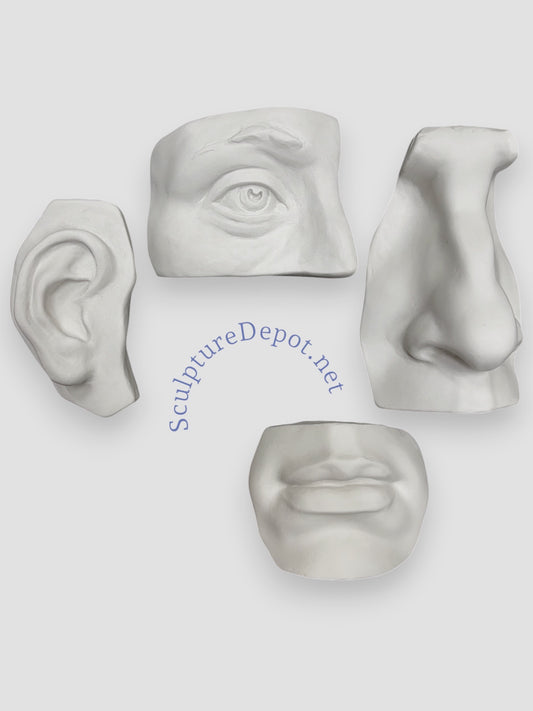 Facial Castings- Plaster